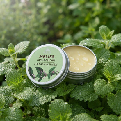 Lemon Balm Lip Balm
